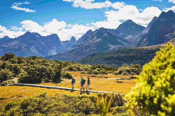 Fiordland’s Classic Walks: Milford, Routeburn, Kepler & Hollyford - 6 Days